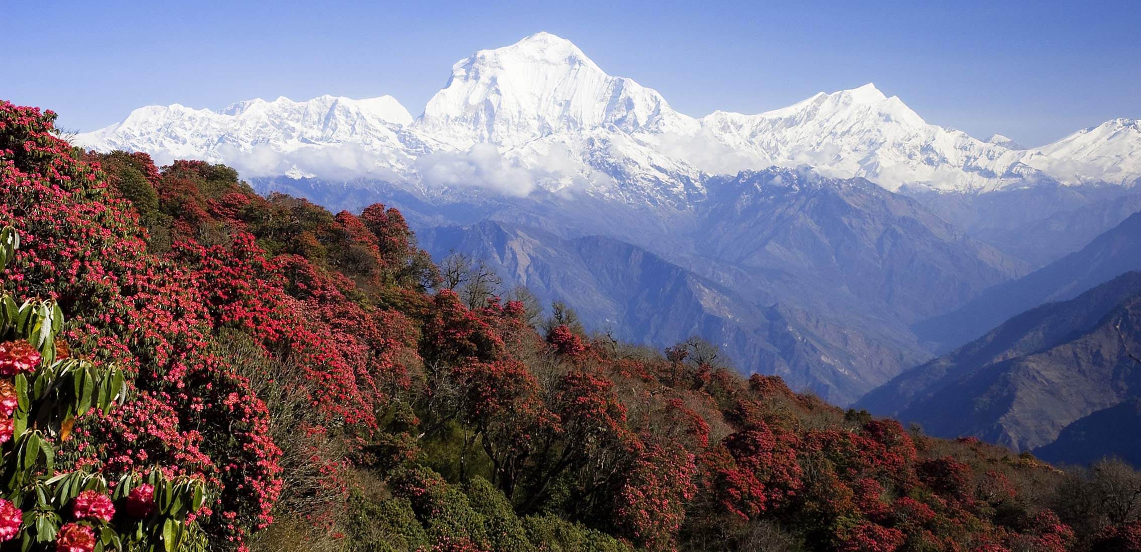 trekking in nepal